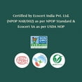 thumbnail image 3 of VAHDAM Cumin Powder Spice, 2.47 oz (70 g) | Ground Cumin (Cuminum cyminum), Non-GMO, Gluten-Free Seasoning for Cooking & Marinades, 3 of 8