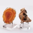 thumbnail image 4 of 4 soportes de exhibición de acrílico ,  para fósiles, minerales, piezas . yotijar soportes de exhibición, 4 of 5