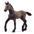 thumbnail image 1 of Schleich Paso Peruano Foal, 1 of 5