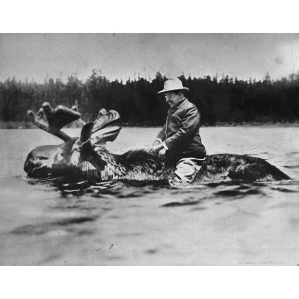 roosevelt riding a moose