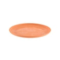 thumbnail image 5 of Mainstays 10.5 inch Round Plastic Etched Halloween Pumpkin Plate, Orange, 5 of 6