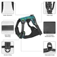 thumbnail image 6 of Fotbe Cute Shark Turtle Pattern Dog Harness, No-Pull Pet Harness with 2 Leash Clips, Adjustable Soft Padded Dog Vest with Easy Control Handle for Large Dogs-X-Large, 6 of 6