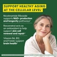thumbnail image 4 of MegaFood NAD+ Boost With Nicotinamide Riboside & Resveratrol, 60 Capsules, 30 Servings, 4 of 9