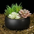 thumbnail image 3 of MyGift 5 inch Mini Black Ceramic Round Bowl with Artificial Succulents, 3 of 5