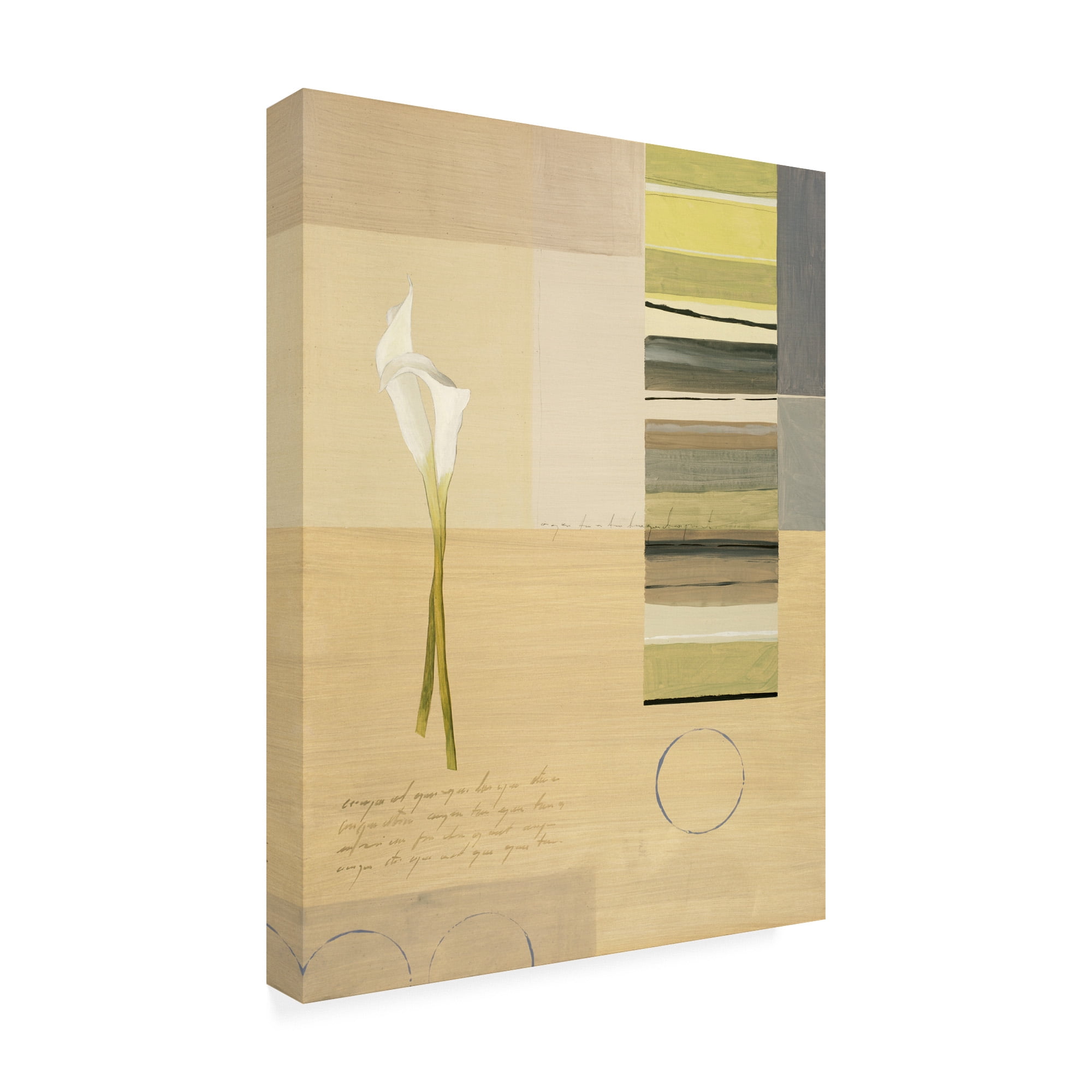 Trademark Fine Art 'White Calla Lilies With Stripes' Canvas Art by Pablo Esteban