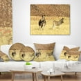thumbnail image 4 of Designart Pair of Zebras in Namib Desert - Animal Throw Pillow - 12x20, 4 of 5