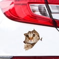 thumbnail image 1 of Animal Crack Car Sticker, 7.3 x 6.7 inch Car Window Decal,Multiple Styles Pet Static Electricity Sticker for Cars,3D Realistic Waterproof DIY Car Window Paste Stickers (Orange Cat-Small), 1 of 7