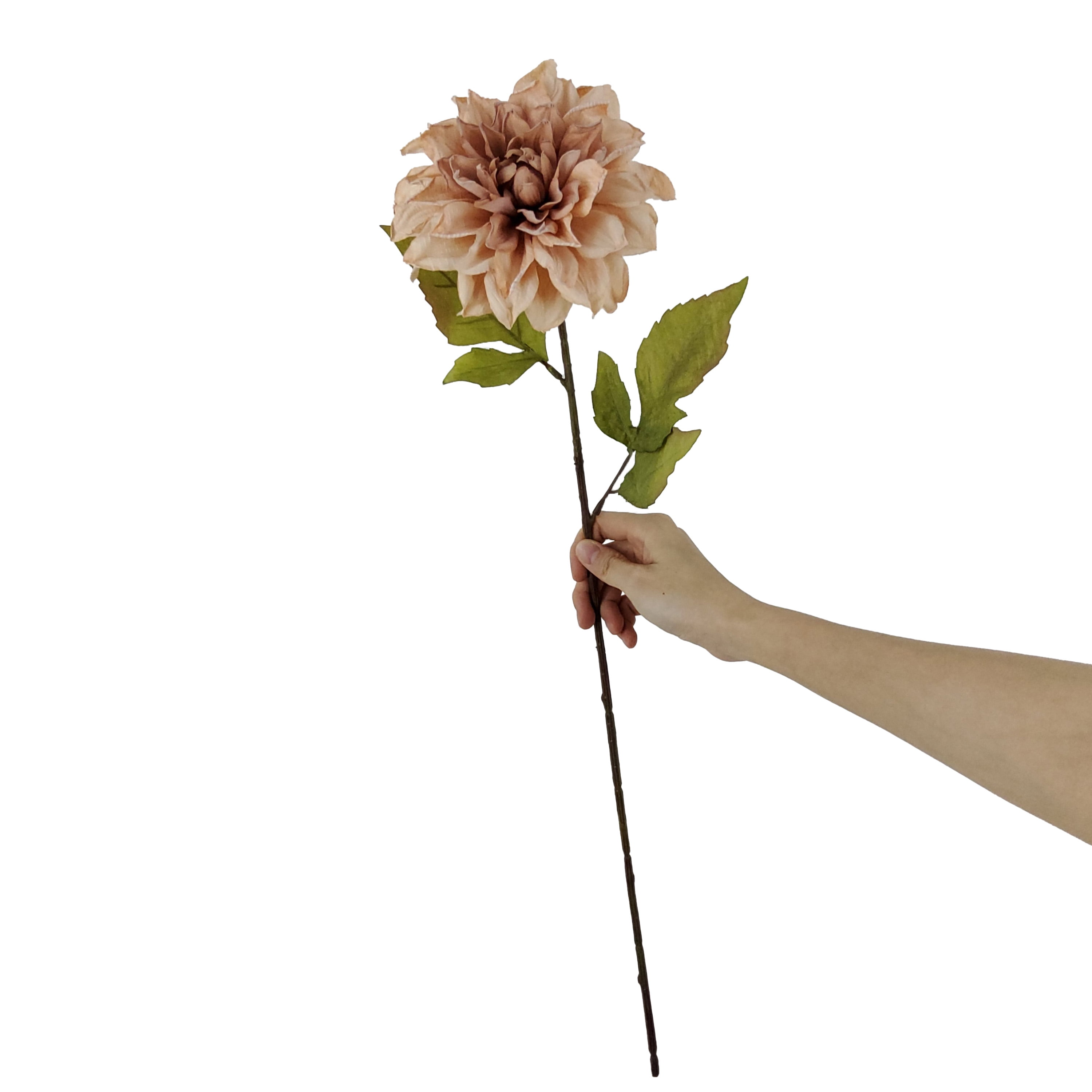 Mainstays Indoor Artificial Flower Stem, Dried Look Dahlia, Cream Color, Assembled Height 24.75"