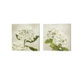 thumbnail image 2 of Hydrangeas Neutre by Remy Dellal Canvas Art Set of 2 14 inch X 14 inch Each, 2 of 4