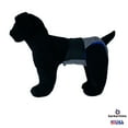 thumbnail image 2 of Barkertime Black on Gingham Waterproof Premium Dog Diaper - Made in USA, 2 of 6