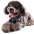 thumbnail image 6 of Small Dog Harness and Leash Set - No Pull Pet Harness with Soft Mesh Nylon Vest for Small Dogs and Cats, 6 of 7