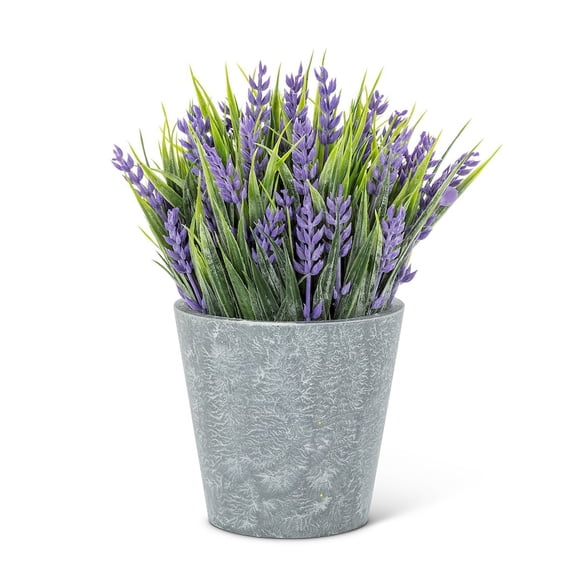 Lavender Plant Pot Floral