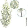 thumbnail image 4 of Nvzi 30 ramas de pino artificiales, tallo de pino de nieve artificial navideño, ramas de pino de nieve artificiales, agujas de pino de nieve en aerosol verde navideño falso (13,8 pulgadas), 4 of 5