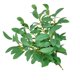 thumbnail image 5 of Planta Artificial Hoja Rama Simulación Vegetación Hogar Oficina Tela Planta falsa, Verde 10 Piezas kenally HA8513-01B, 5 of 6