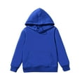 thumbnail image 2 of SGFCWSX Hoodies for Girls Long Sleeve Round Neck Sweatshirts Ployester Oversized Top Blue Size 4 Years, 2 of 9