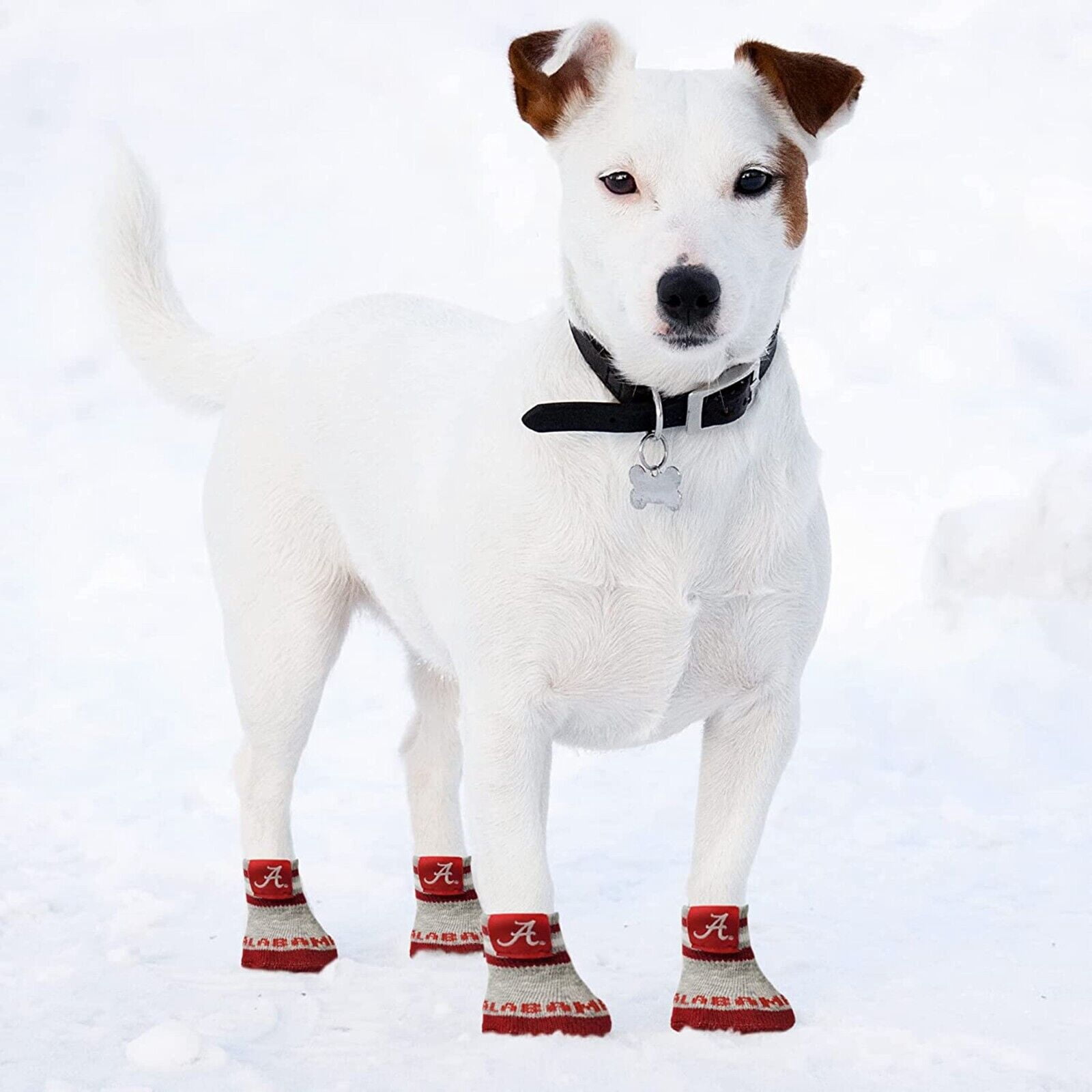NCAA Anti Slip Dog Socks with Elastic Ribbed Top Indoor/Outdoor Paw Protection
