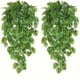 thumbnail image 2 of Simulación de Helecho Verde Enredadera Persa Enredadera Colgante Pared Verde Colgante Tortuga Enredadera, 2 of 8