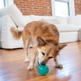 thumbnail image 2 of Juguete Masticable Interactivo Outward Hound Azul Mediano para Perro, 2 of 8