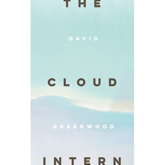 The Cloud Intern, (Paperback)