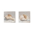 thumbnail image 1 of Ethan Harper 'Impressionist Shell Study A' Canvas Art (Set of 2), 1 of 4