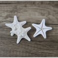 thumbnail image 2 of Piezas de Estrellas de mar Naturales CHEPIHG decorativas Micro paisajes 5-8 cm, 2 of 4