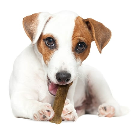 UPC: 0018214813743 | Nylabone Healthy Edibles Natural Chicken Flavored Dog Treats Triple Pack Regular