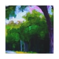 thumbnail image 2 of "Garden Splendor Sunlit" - Canvas, 2 of 25