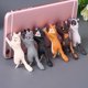 thumbnail image 5 of 6pcs Cat Mobile Ph H D With Sucker, Ph H, 5 of 5