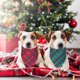 thumbnail image 2 of Paquete de 2 pañuelos navideños para perros, varios tamaños, de algodón premium a cuadros, para perros pequeños y medianos., 2 of 7