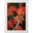 thumbnail image 3 of Vitaly Geyman 11x14 White Modern Wood Framed Wall Art Titled - Autumn Tree Dance II, 3 of 5