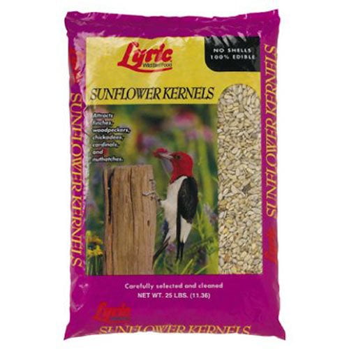 LEBANON SEABOARD SEED 25 lb Sun Kernels