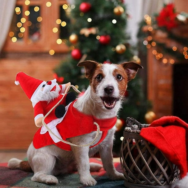 Manteau pour chien walmart new arrivals