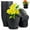 4.8"Black, variant on 4"Plant Pots,Tutuviw 8 Pcs Small Plastic Planter with Drainage Hole and Saucer,Seedling Pots,Decorative Nursery Flower Pot Bulk for African Violet Succulent and All House Plants Indoor