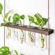 thumbnail image 5 of Injueey Terrario de planta de tubo de ensayo para colgar en la pared, funcional y decorativo, decoración única para el hogar, aplicaciones Jardín y Patio Estilo de registro, 5 of 6