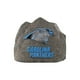 thumbnail image 1 of Logotipo de Garden Stone Faux Rock del equipo de los Carolina Panthers de la NFL, 1 of 1