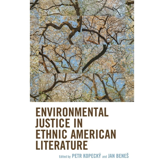 Ecocritical Theory and Practice Environmental Justice in Ethnic American Literature, (Hardcover)