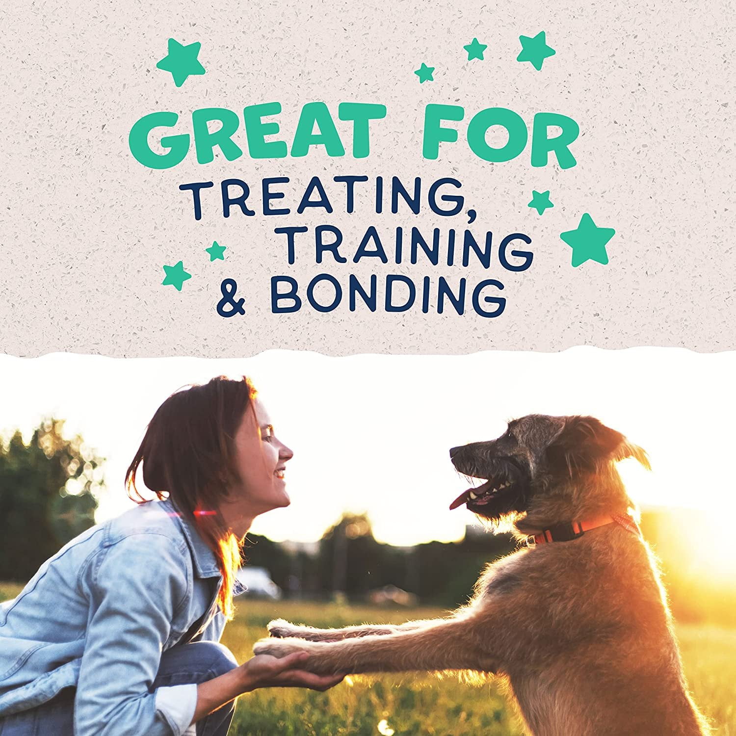Natural Balance Pet Foods Rewards Jumpin' Stix Dog Treats Chicken, 10 oz