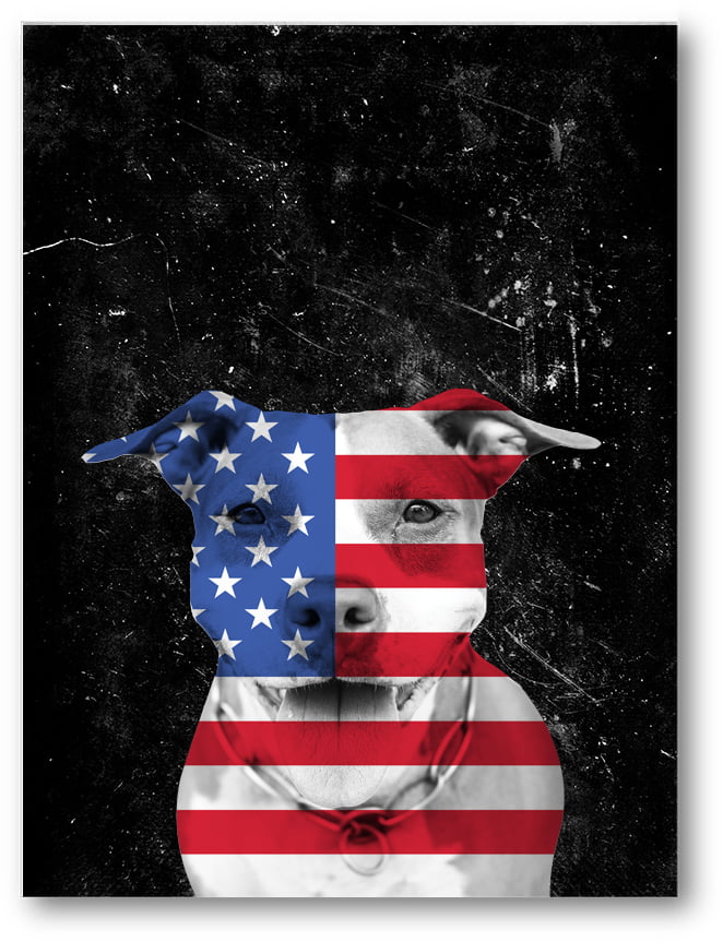 32" x 24" LARGE WALL POSTER PRINT NEW. Flag Americana Patriotic Baseball U.S