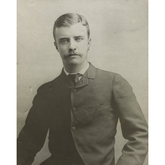 Print: Theodore Roosevelt As Assemblyman In 1884