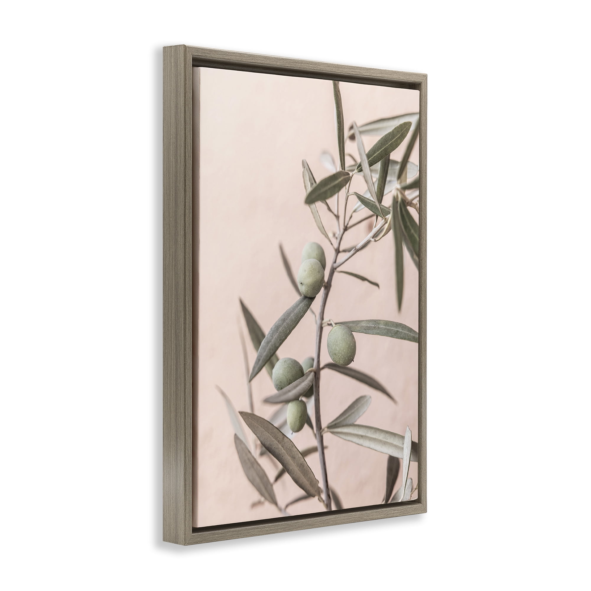 Stupell Industries Spanish Olive Branch Plants & Flowers Painting Brown Floater Framed Canvas Art Print Wall Art, 17 x 25