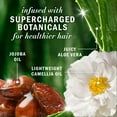 thumbnail image 4 of Herbal Essences Jojoba Oil Sulfate Free Conditioner, Made for Air Drying, Smoothing, with Certified Camellia Oil and Aloe Vera, For All Hair Types, Especially Frizzy Hair, 4 of 14