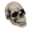 thumbnail image 1 of White Skull, Máscara de Craneo de Calavera Calaca, Máscaras de Calaveras de la Muerte Ideal para Halloween y Día de Muertos, 1 of 5