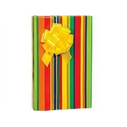 Stripes Galore Birthday / Special Occasion Gift Wrap Wrapping Paper-16ft