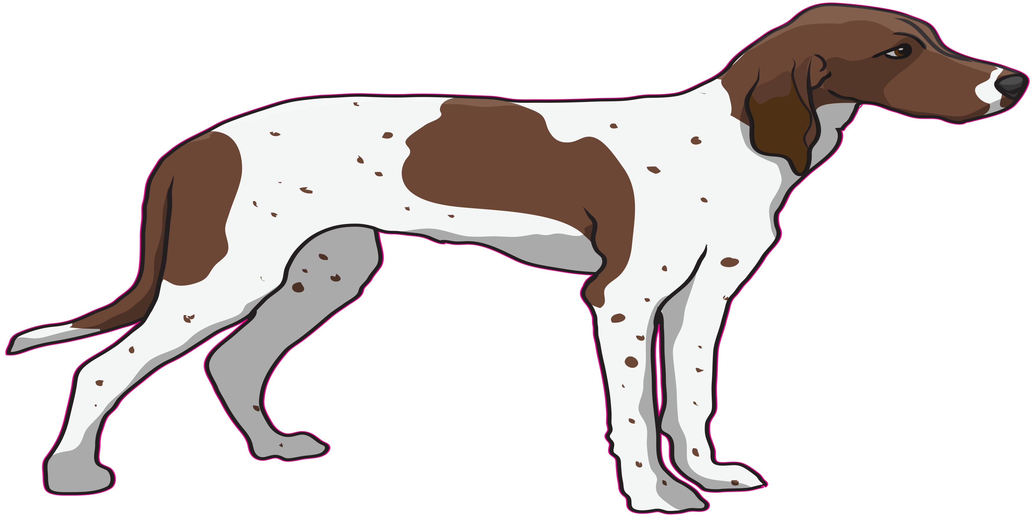Pointer Dog Decal Dog Lover Décor Vinyl Sticker
