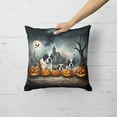 thumbnail image 2 of Saint Bernard Spooky Halloween Fabric Decorative Pillow 18 in x 18 in, 2 of 5