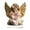 Khaki, variant on yocbz Graceful Prayer Wings Angel Figurine, Valentine's Day 2026 New Gorgeous Angel Wings Heart Decoration for Desk and Living Room Decoration, Garden Angel Statues for Mother's Day(04)