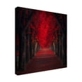 thumbnail image 4 of Ildiko Neer 'Endless Passion' Canvas Art, 4 of 4