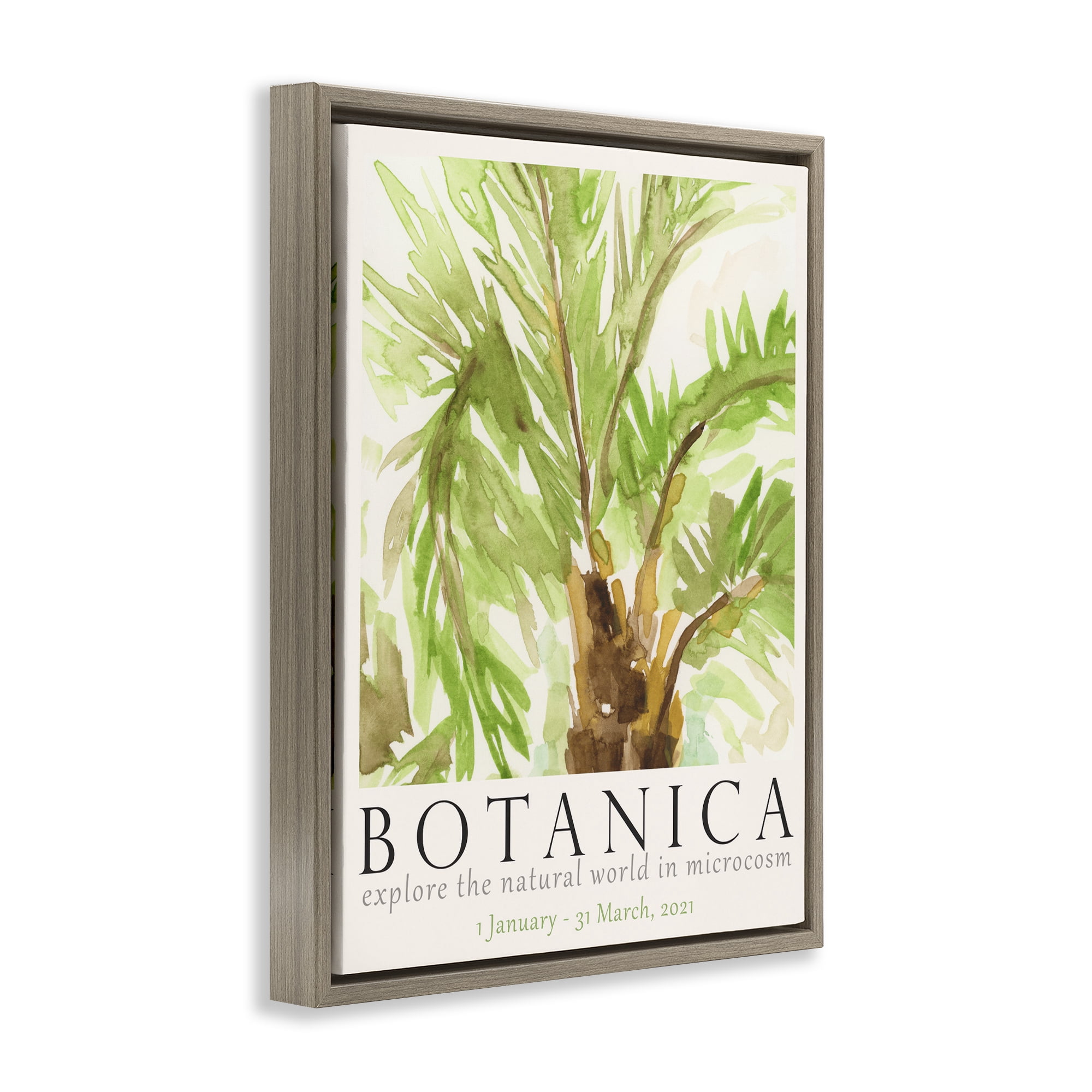 Stupell Industries Botanica Poster Palm Tree Plants & Flowers Painting Brown Floater Framed Canvas Art Print Wall Art, 25 x 31
