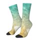 thumbnail image 1 of Balery Starfish And Seashell On The Beach Calcetas Largas con Estampado para Hombre y Mujer – Suaves y Transpirables, Talla Única (US 5-11), 1 of 6