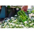 thumbnail image 2 of Regadera de plástico con pico largo para plantas de interior - Escala transparente mensurable - Boquilla desmontable - Pequeña - Plantas colgantes/plantas de interior/suculentas/flores/jardinería, 2 of 6